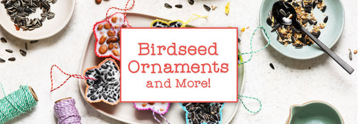 Birdseed Ornaments & More