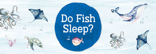 Do Fish Sleep?