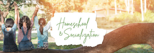 Homeschool and Socialization