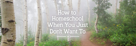 How to Homeschool When You Just Don’t Want To