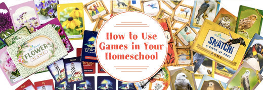 How to Use Games in Your Homeschool