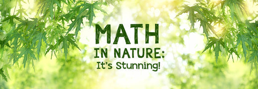 Math in Nature: It's Stunning!