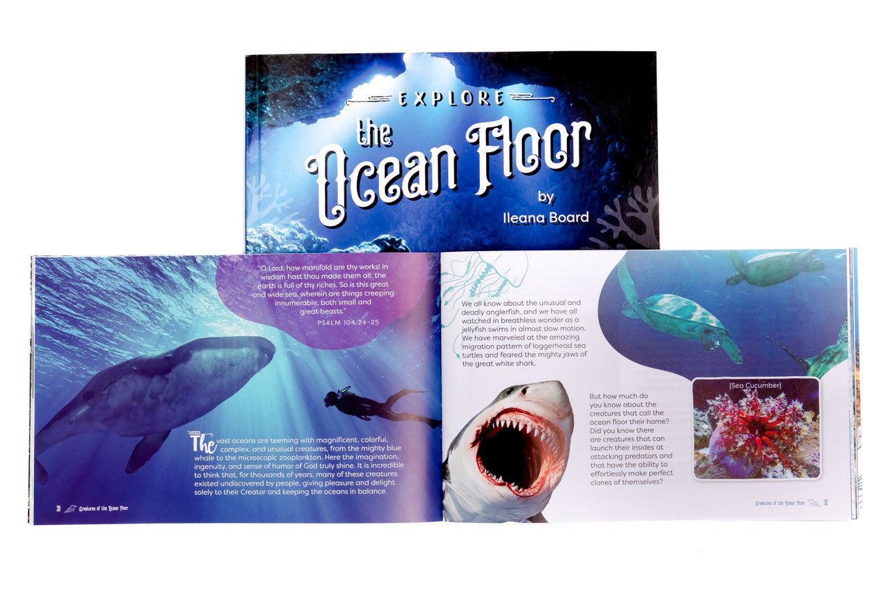 Explore the Ocean Floor: Marine Biology Grades 7-8 Extension