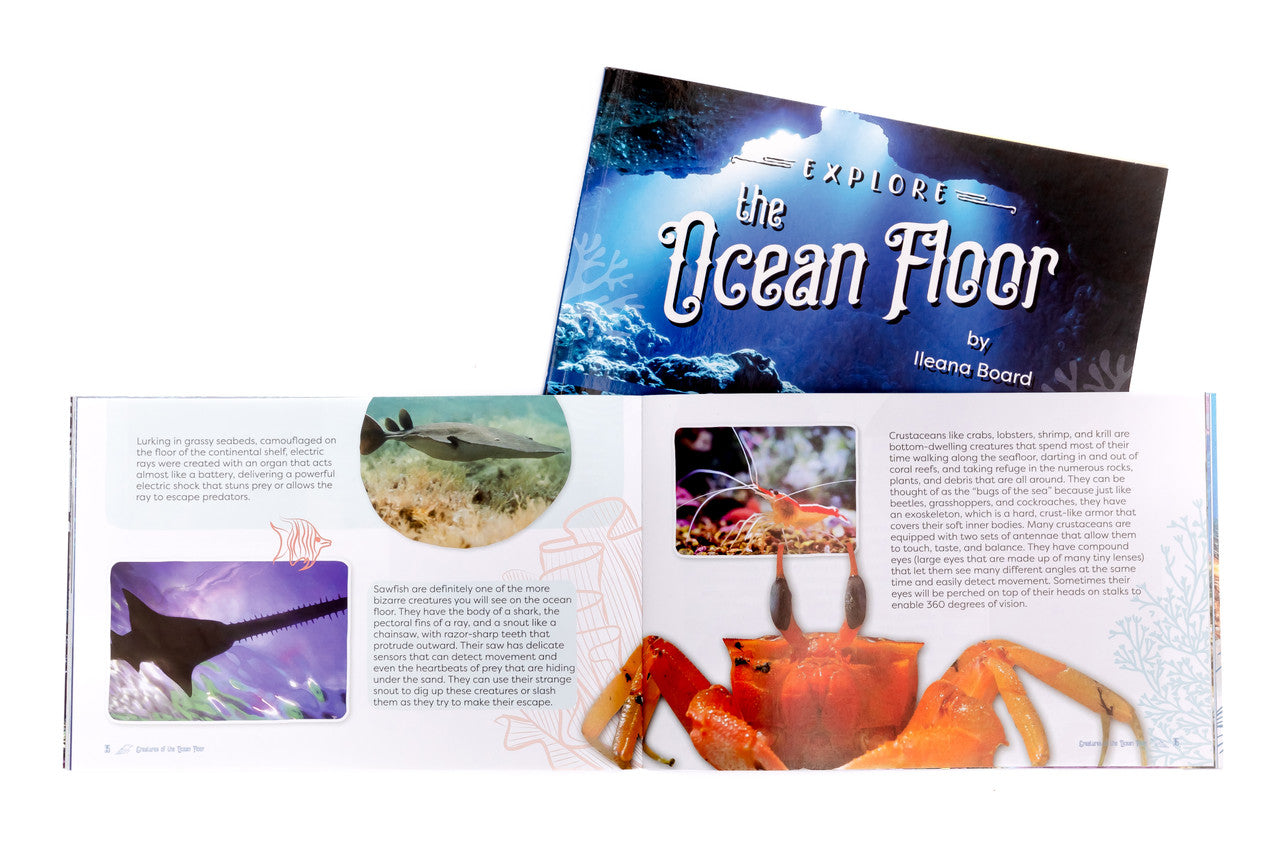 Explore the Ocean Floor: Marine Biology Grades 7-8 Extension