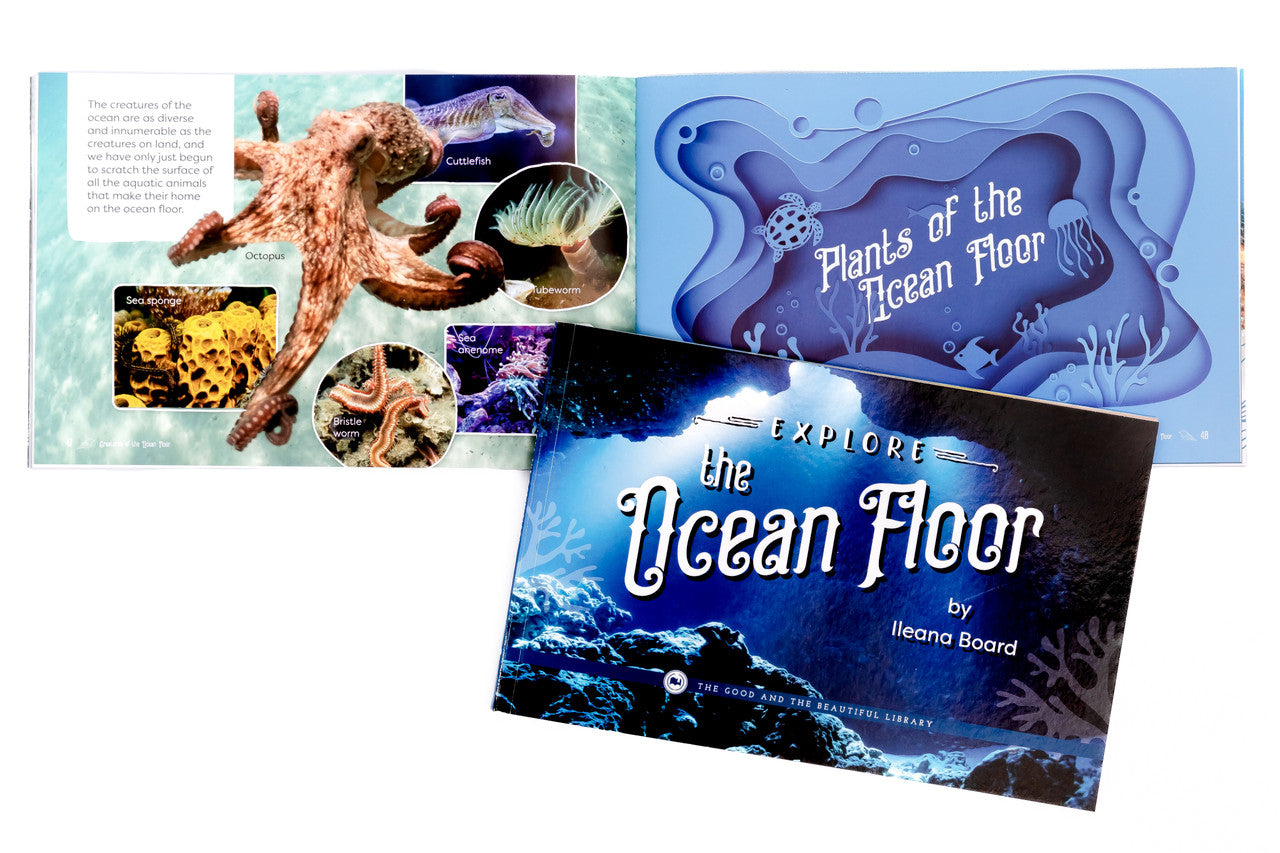 Explore the Ocean Floor: Marine Biology Grades 7-8 Extension