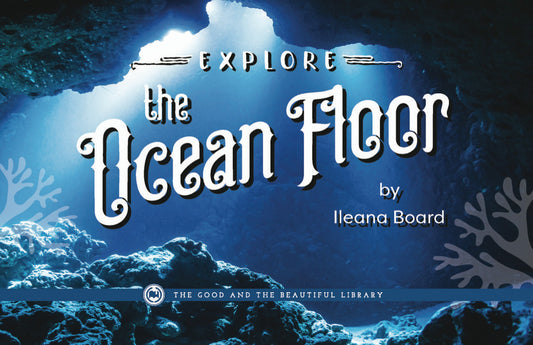 Explore the Ocean Floor: Marine Biology Grades 7-8 Extension