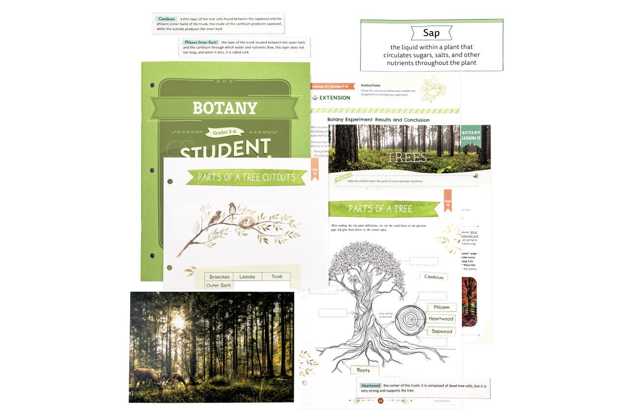 Botany: Course Book: One Per Family