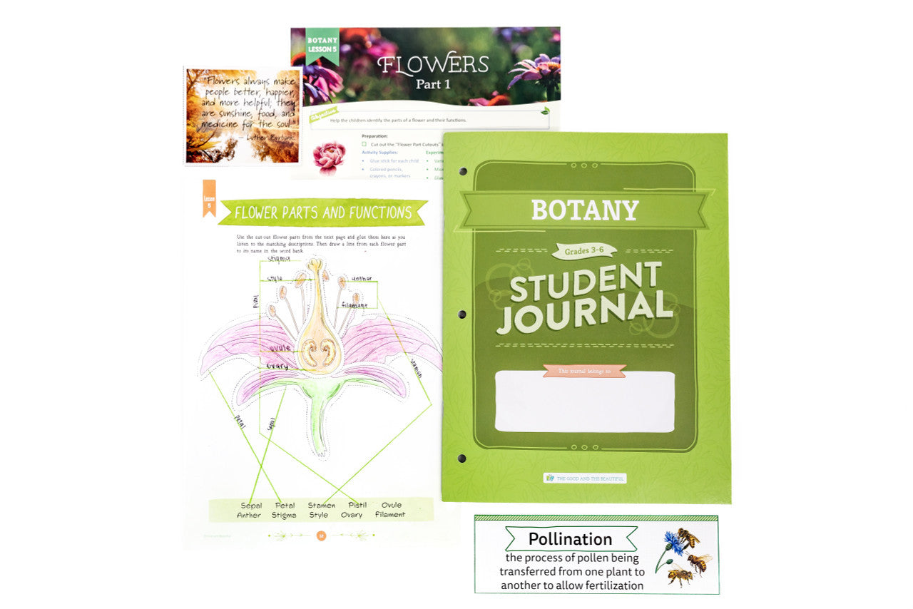 Botany: Course Book: One Per Family