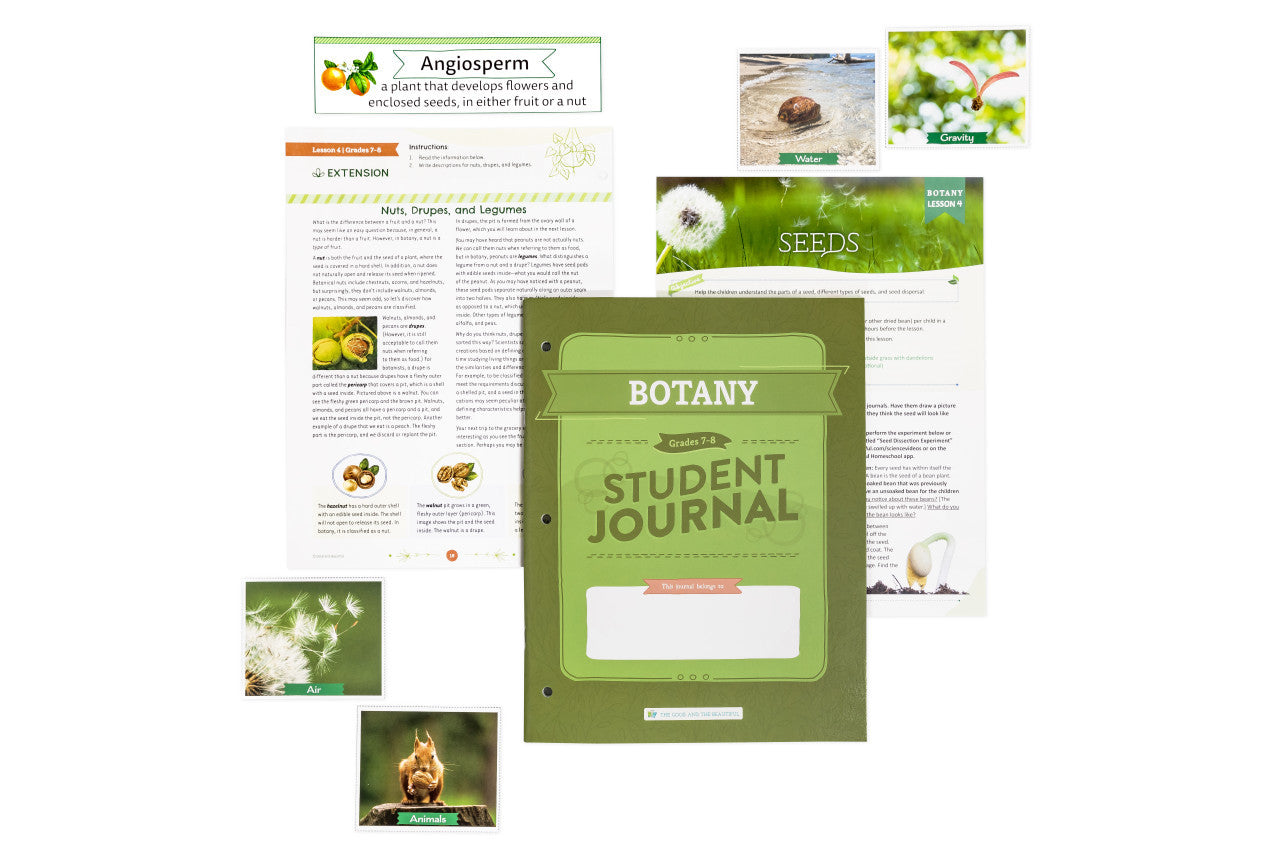 Botany: Course Book: One Per Family