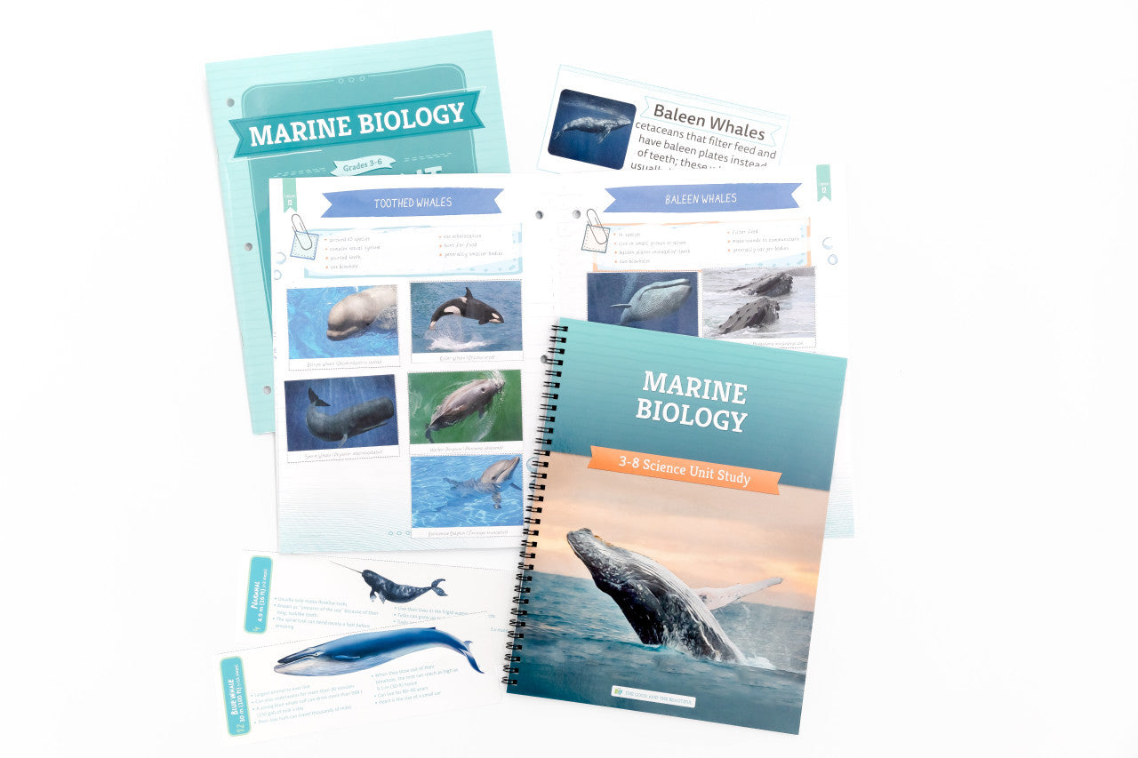 Marine Biology: Course Book: One Per Family