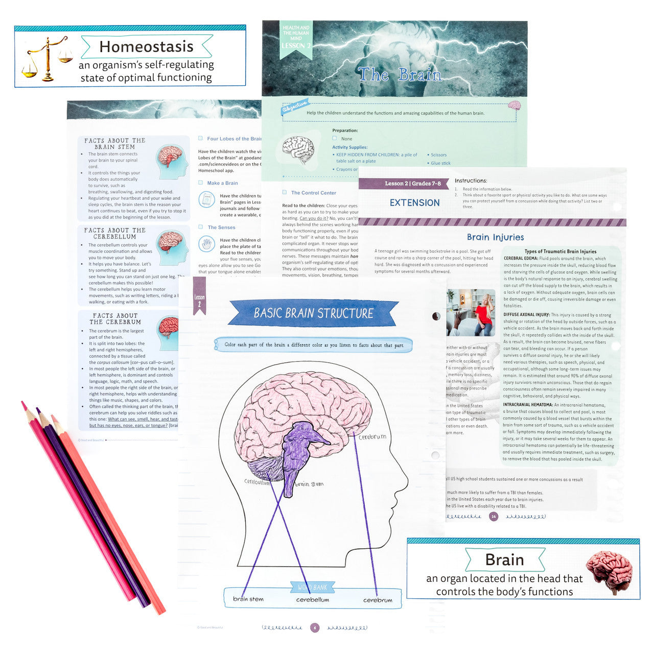 Health and the Human Mind: Course Book: One Per Family