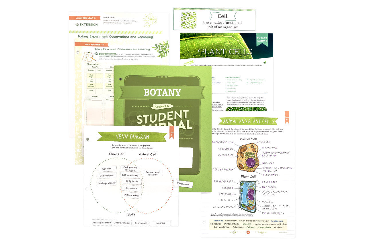 Botany: Course Book: One Per Family