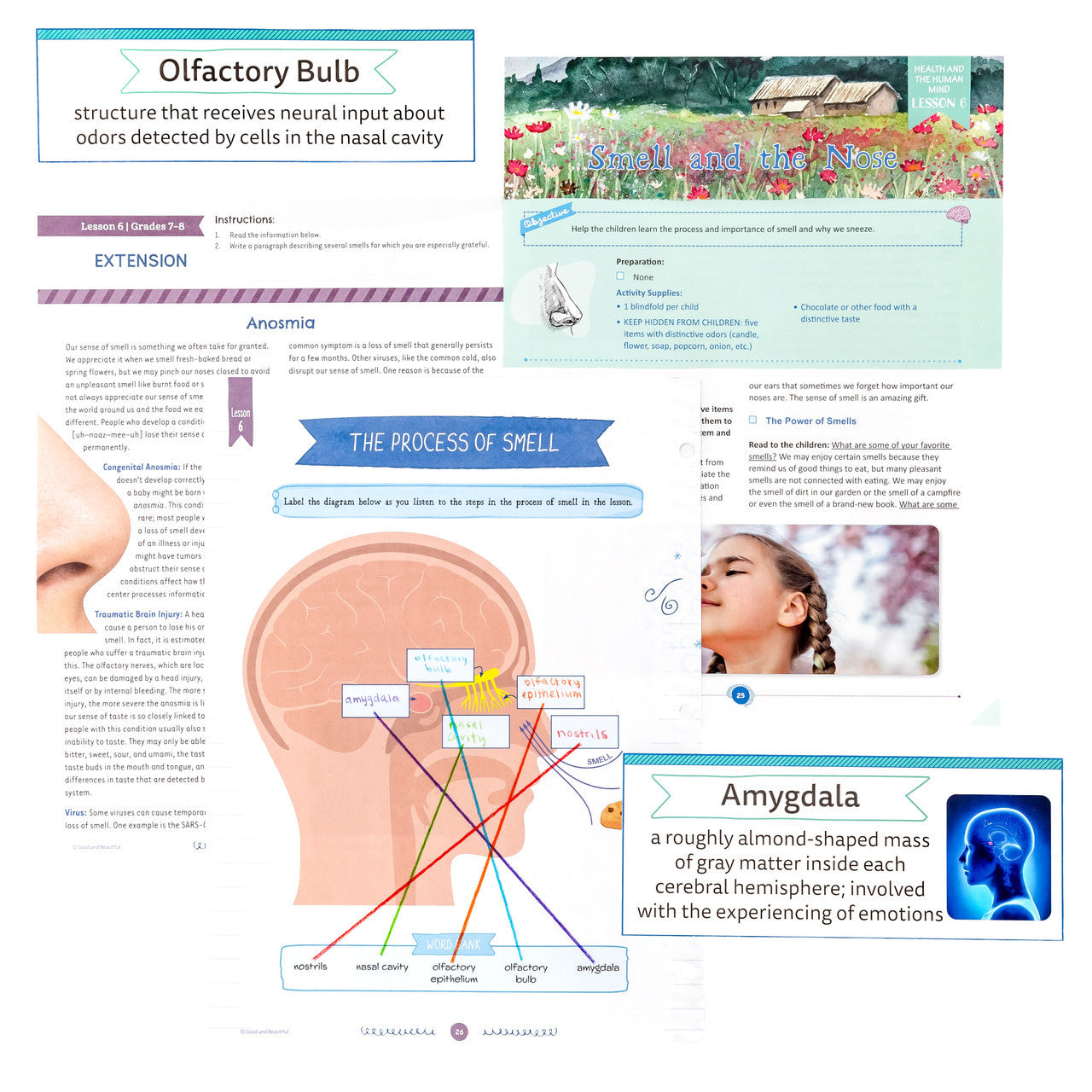 Health and the Human Mind: Course Book: One Per Family