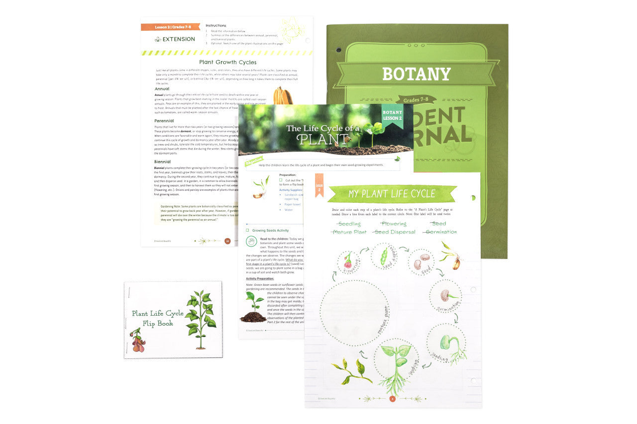 Botany: Course Book: One Per Family