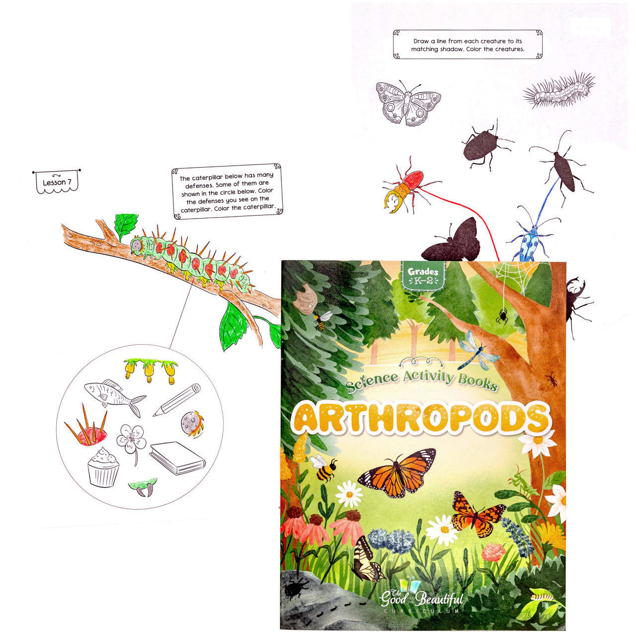 Arthropods: Science Activity Book