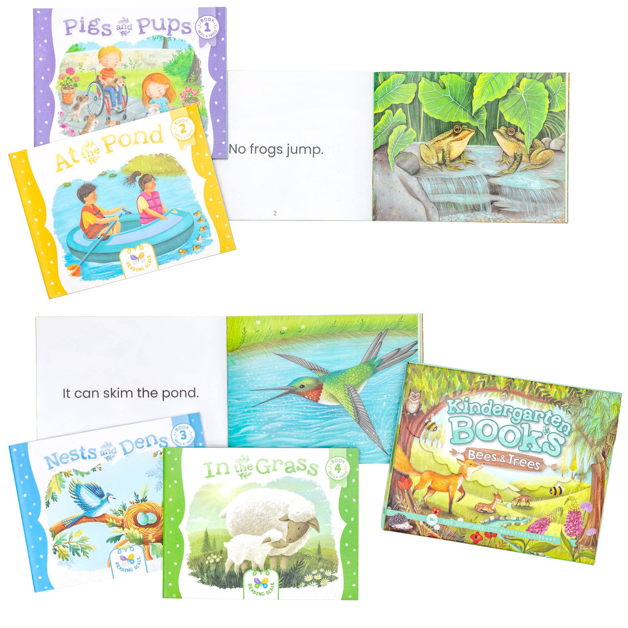 Kindergarten Books—Bees & Trees