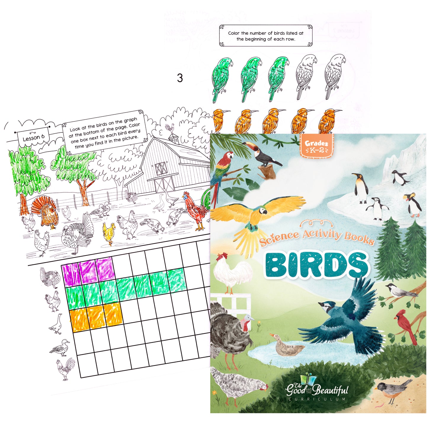 Science Activity Books