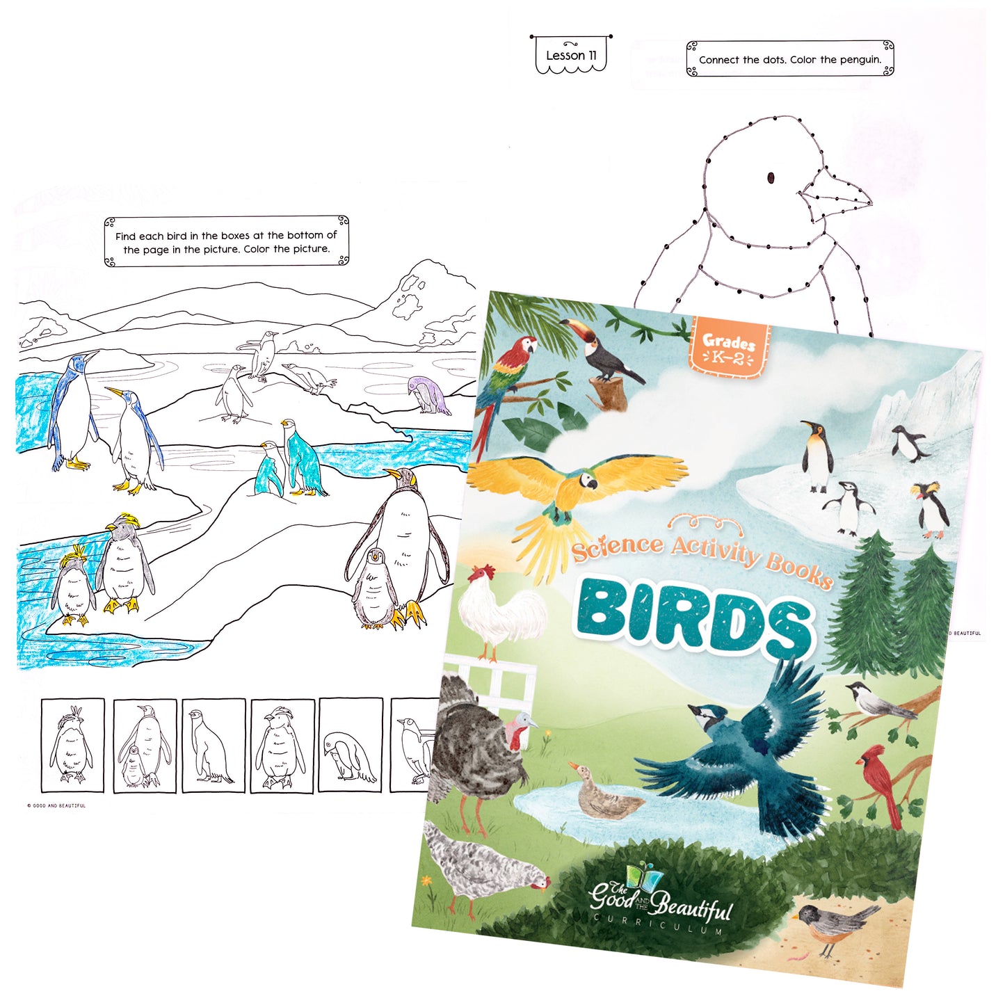 Birds: Science Activity Book