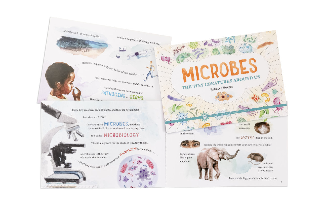 Microbes—The Tiny Creatures Around Us: by Rebecca Borger