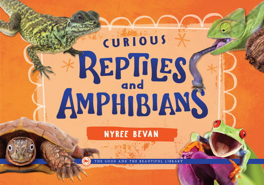 Curious Reptiles and Amphibians: by Nyree Bevan