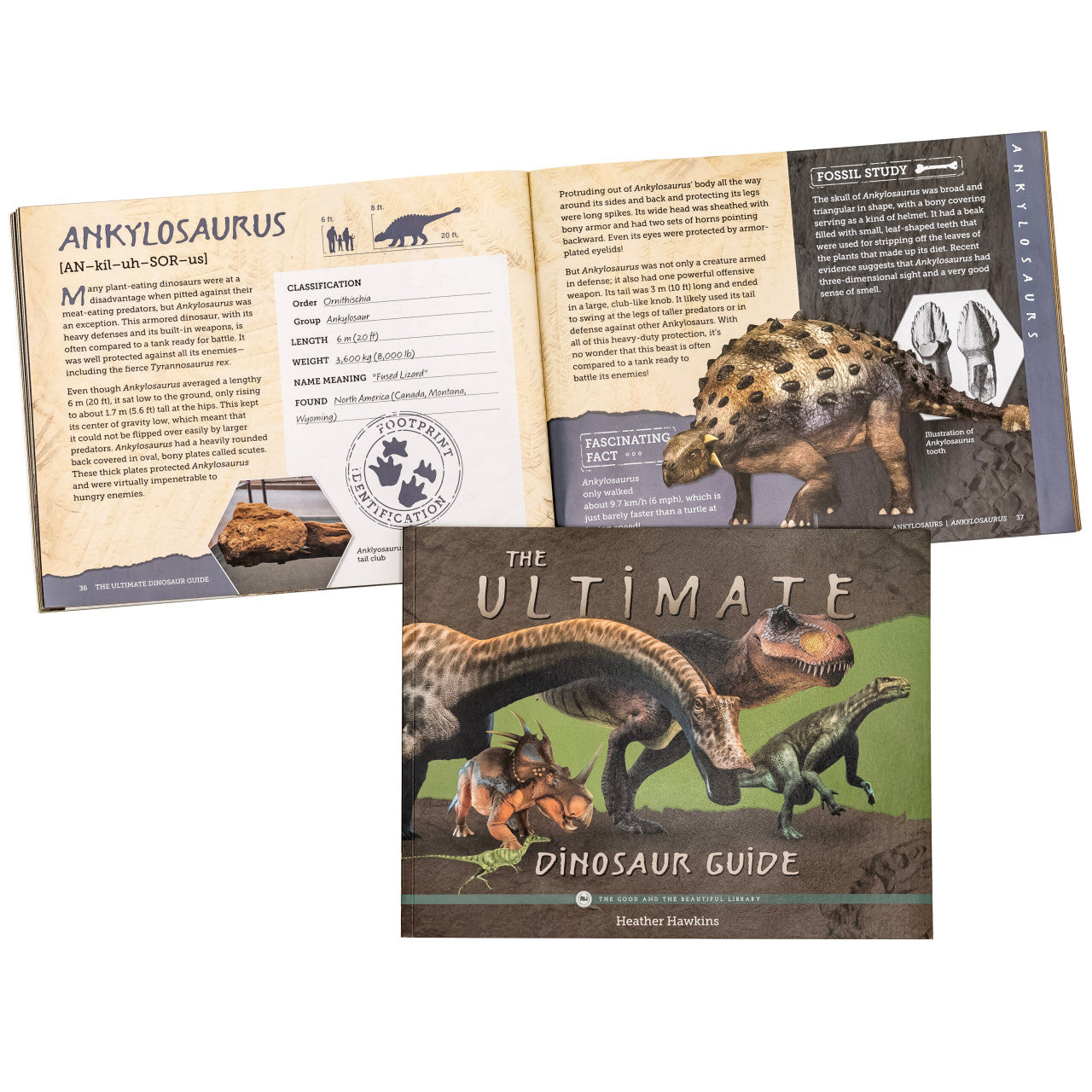 Paleontology Read-Aloud Book Pack