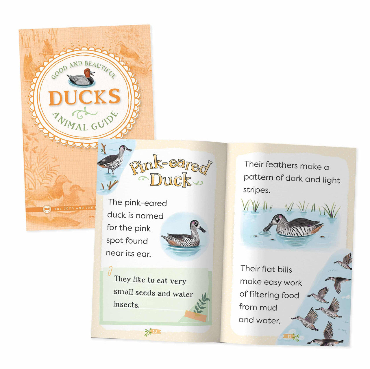 Good and Beautiful Animal Guide: Ducks