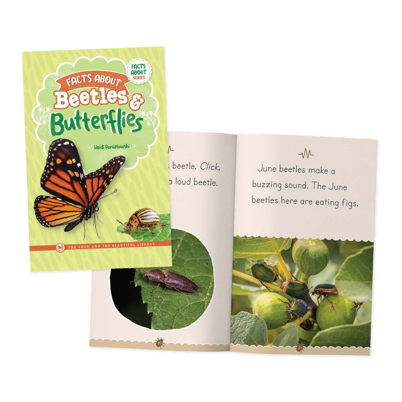 Facts About Beetles & Butterflies: by Heidi Poniatowski