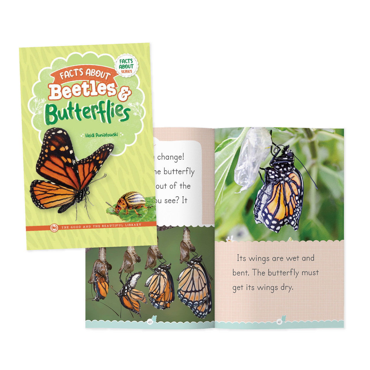 Facts About Beetles & Butterflies: by Heidi Poniatowski