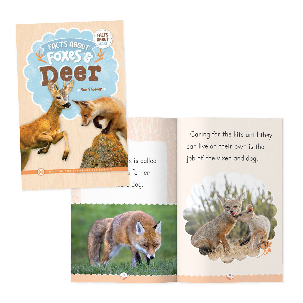 Facts About Foxes & Deer: by Sue Stuever