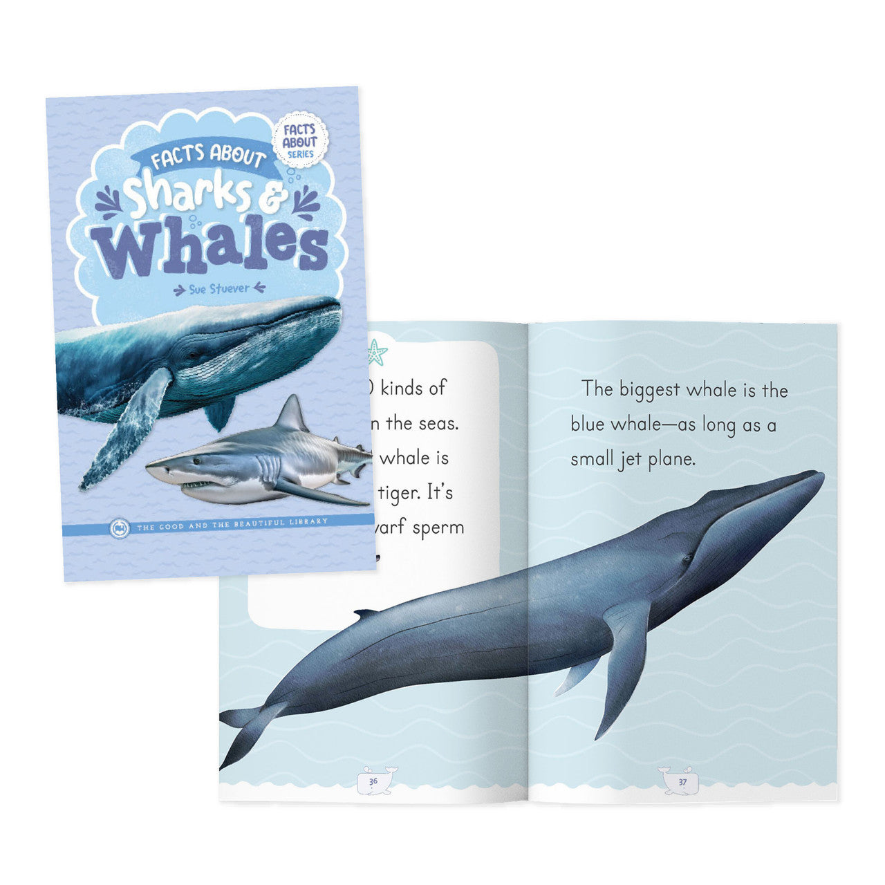 Facts About Sharks & Whales: by Sue Stuever