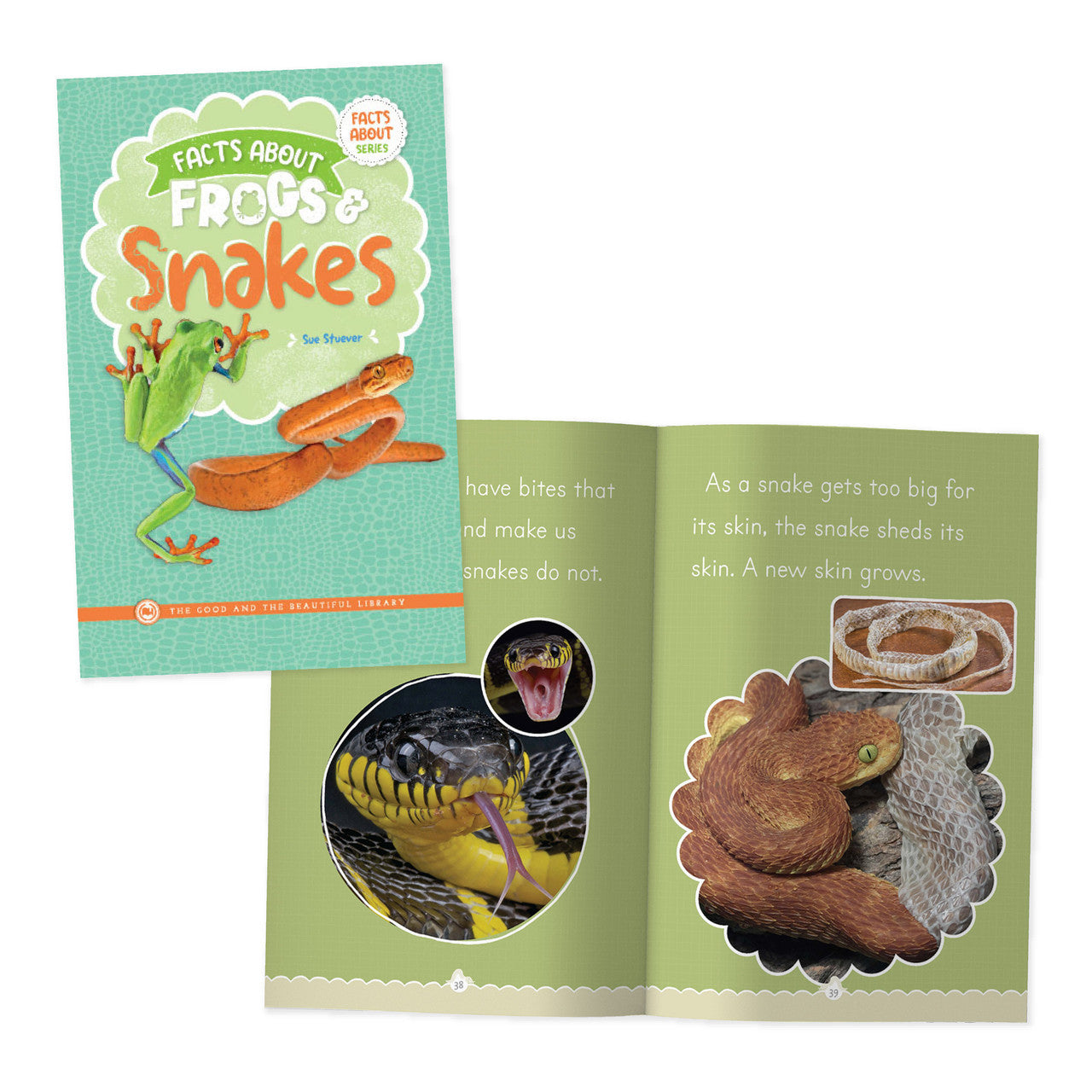 Facts About Frogs & Snakes: by Sue Stuever