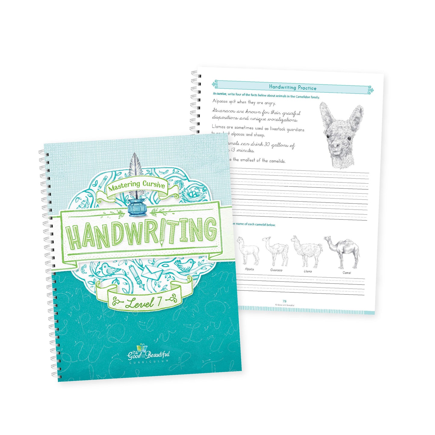 Handwriting Workbook Level 7