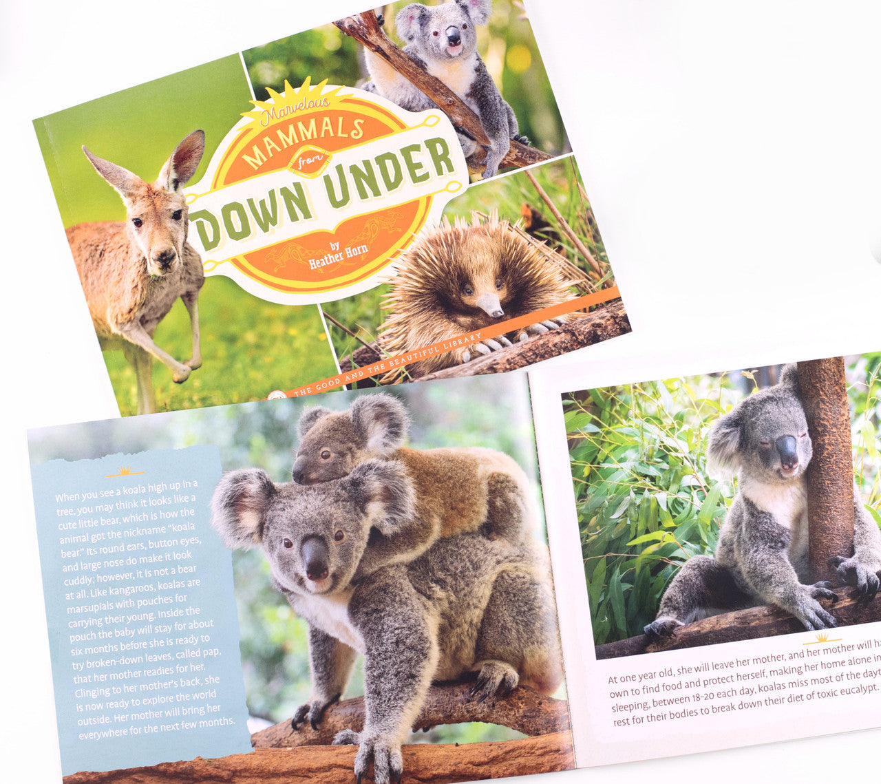 Mammals Book Pack