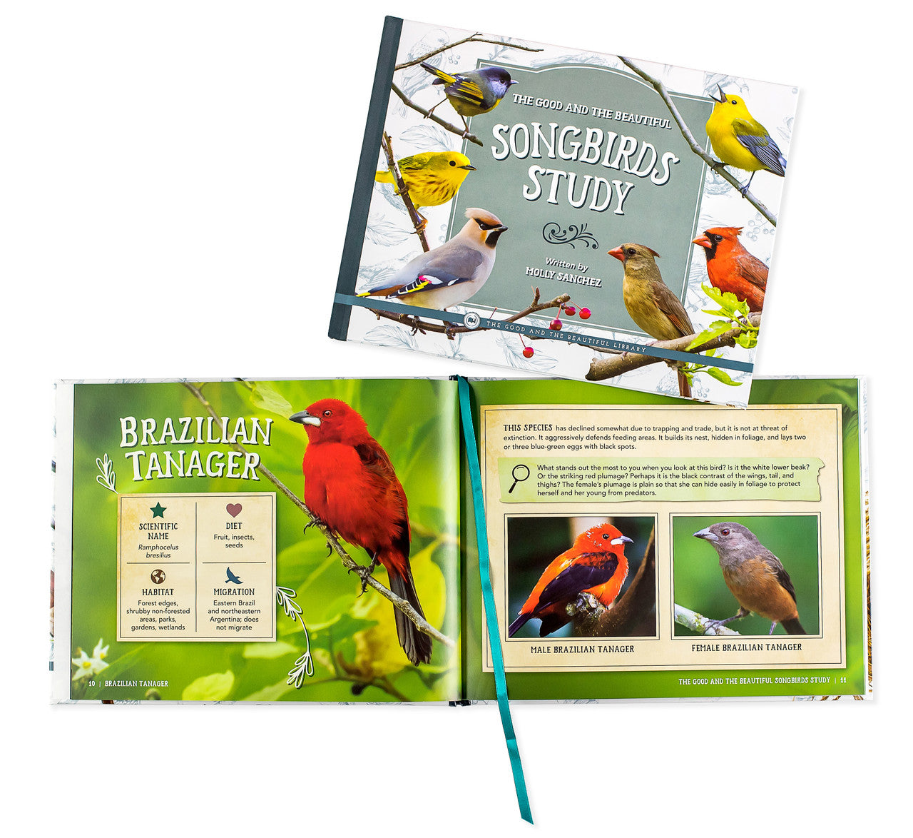 The Good and the Beautiful Songbirds Study Book: by Molly Sanchez