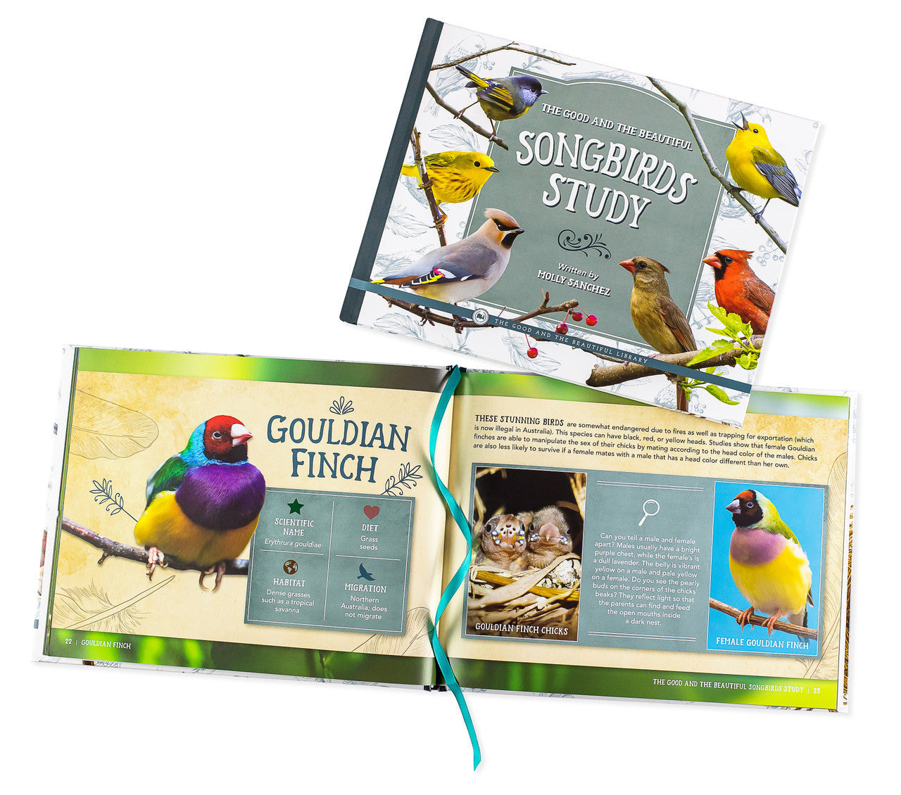 Birds Book Pack