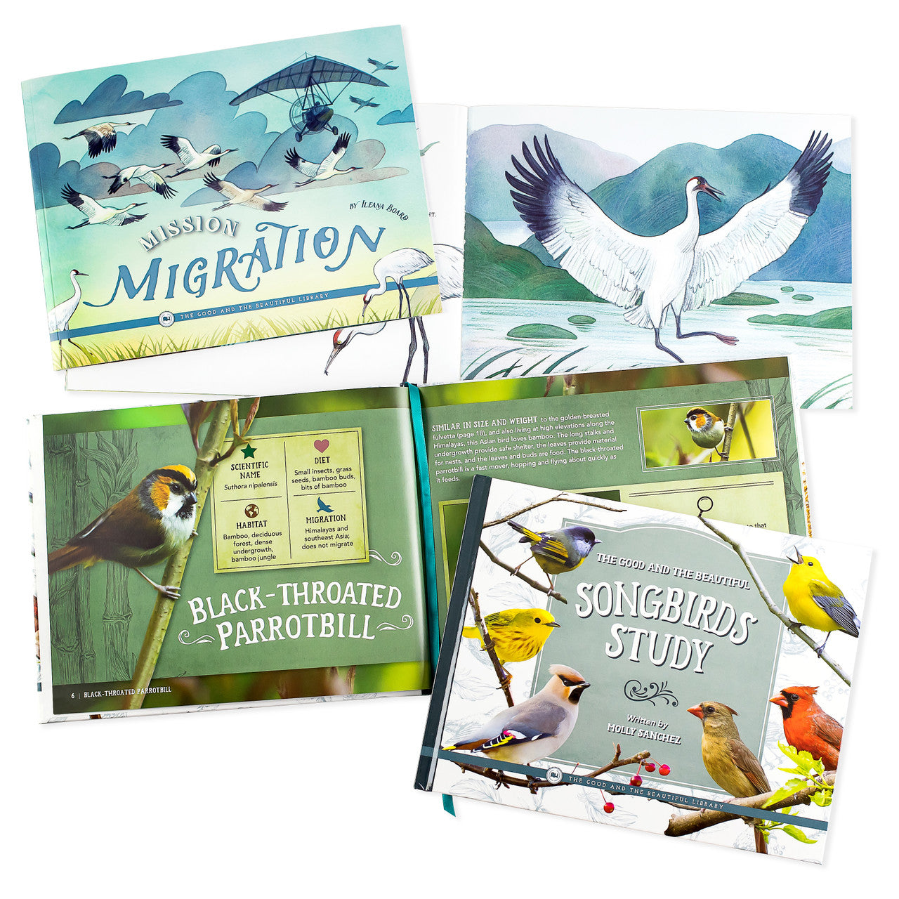 Birds Book Pack