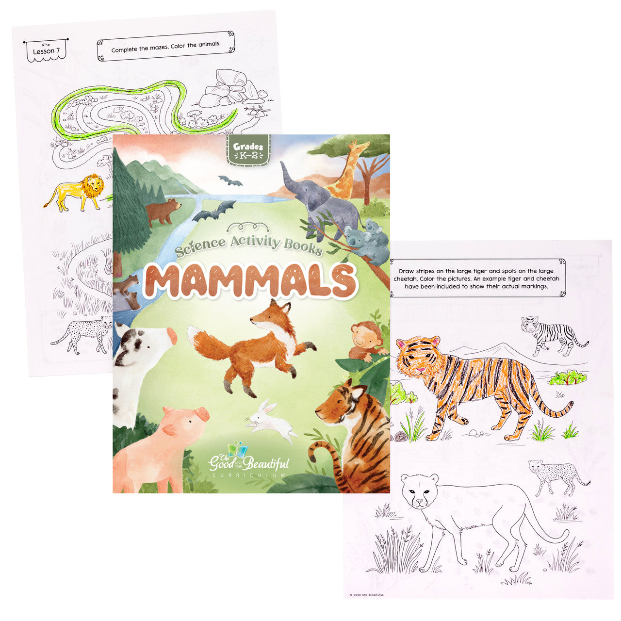 Mammals: Science Activity Book