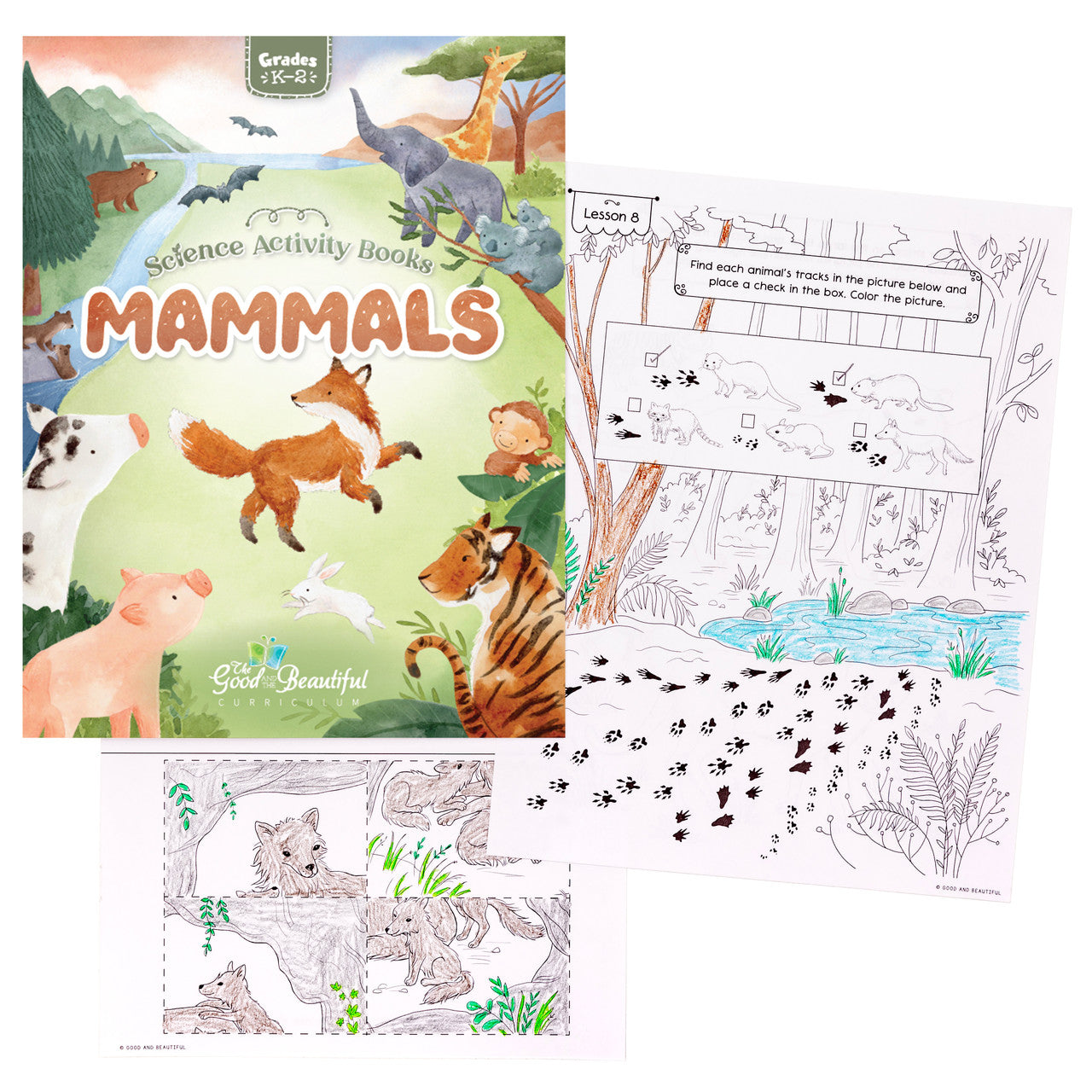 Mammals: Science Activity Book