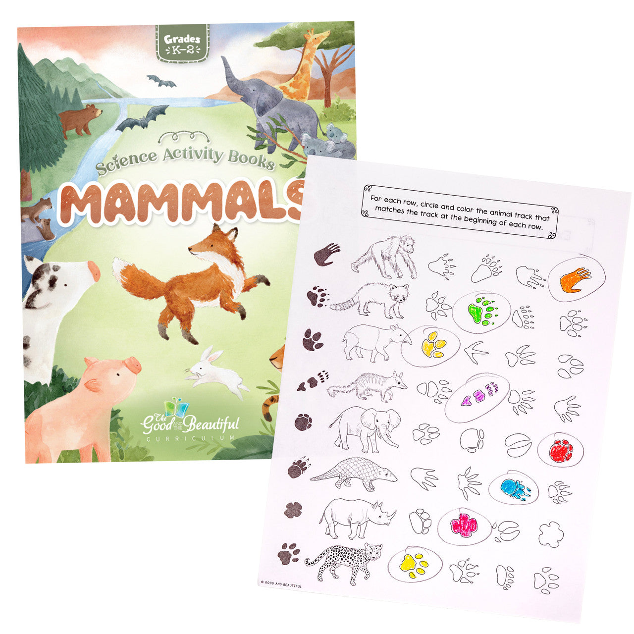 Mammals: Science Activity Book