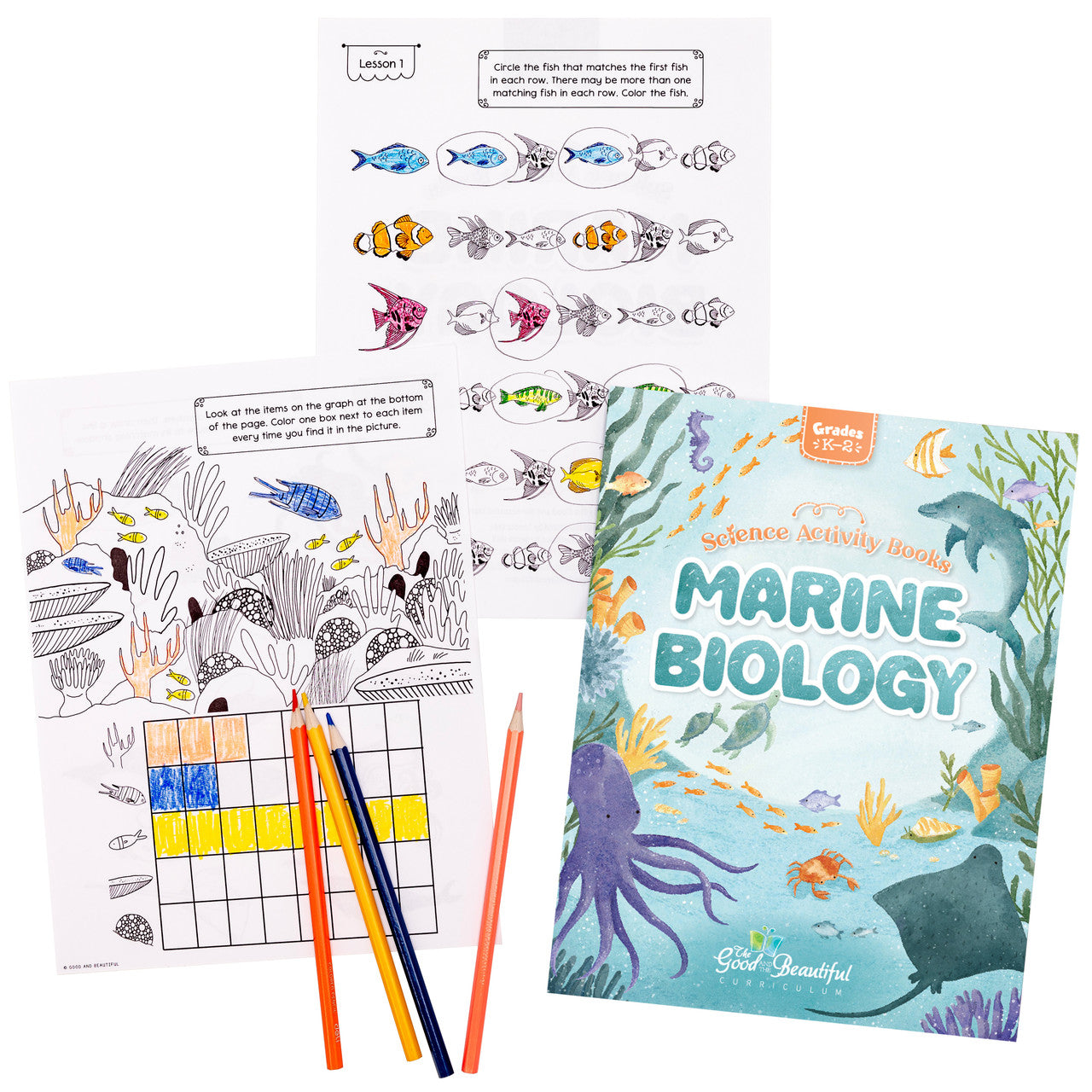 Science Activity Books