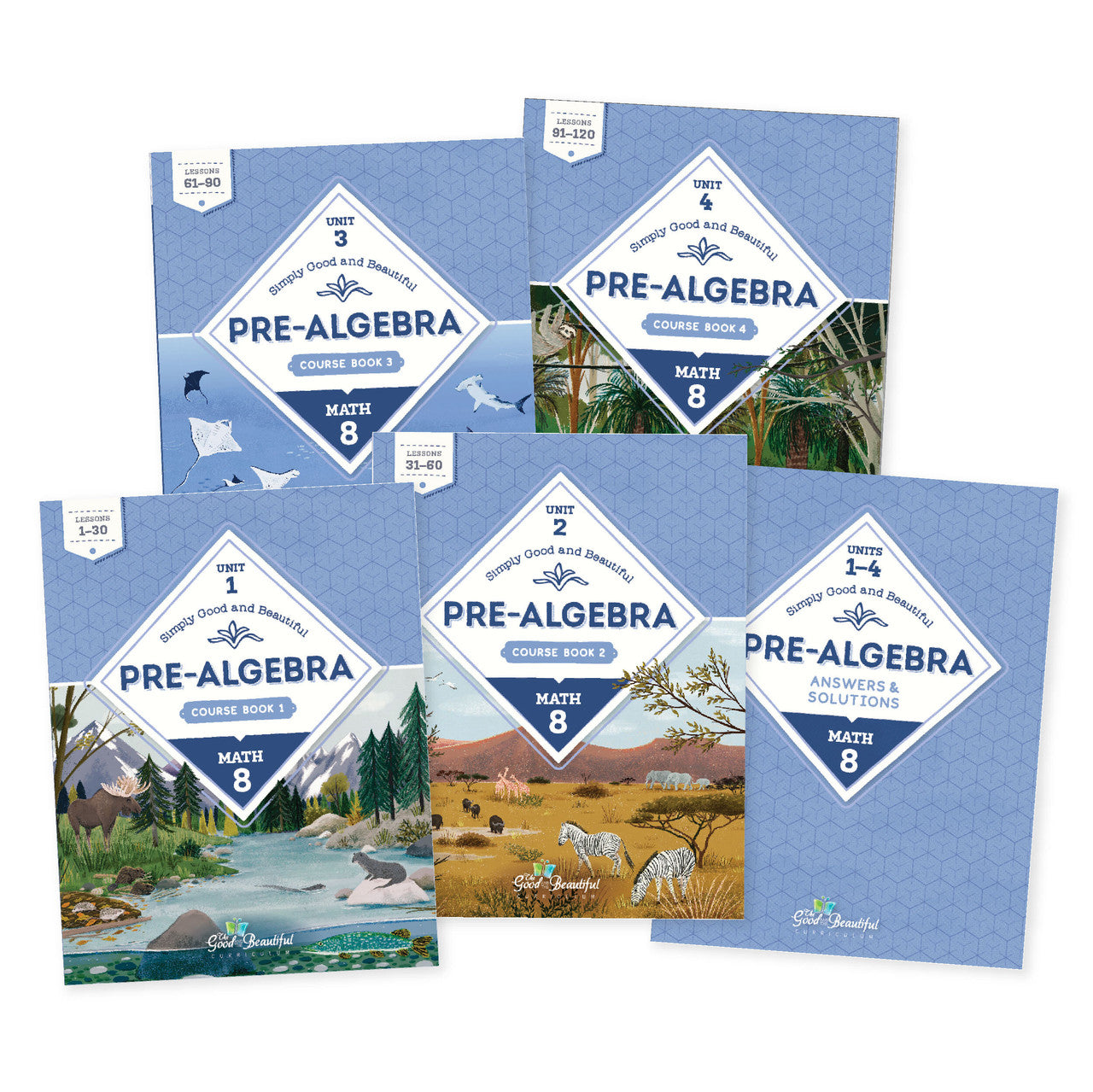 Pre-Algebra: Course Set