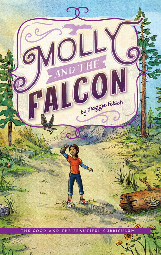 Reading Booster C Book: Molly and the Falcon