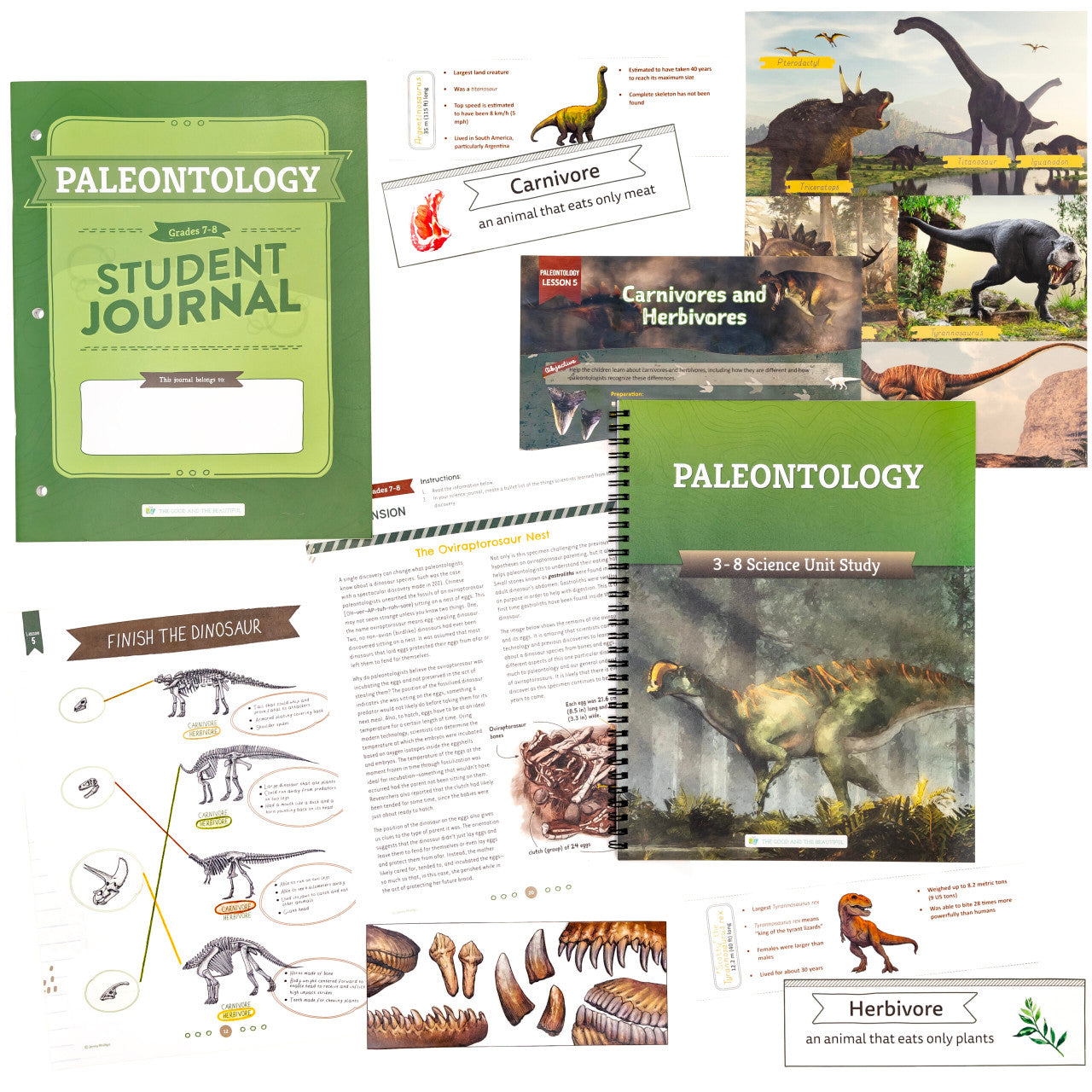 Paleontology: Course Book: One Per Family