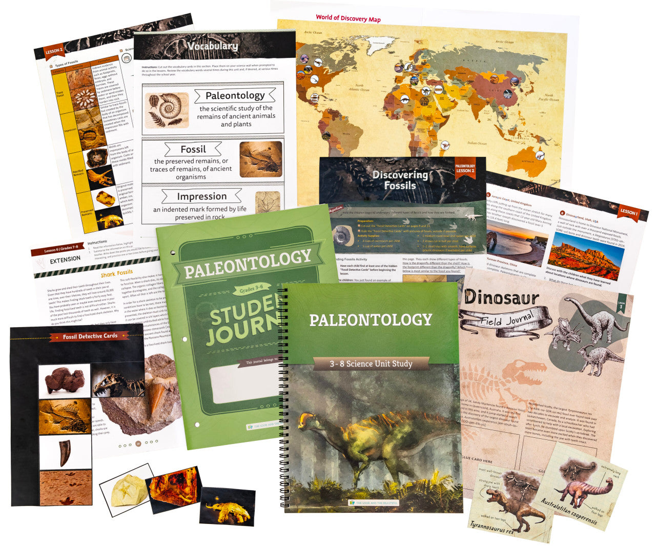 Paleontology: Course Book: One Per Family