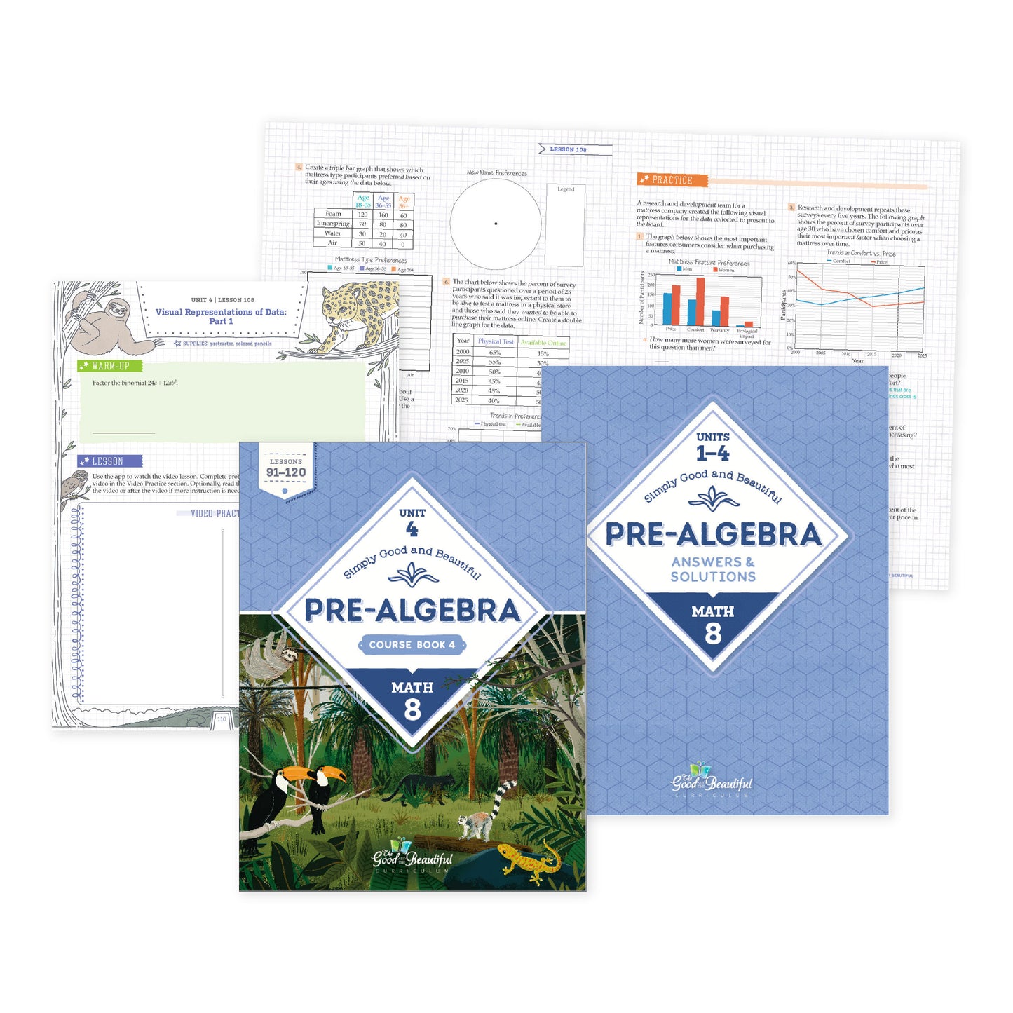 Pre-Algebra: Course Set