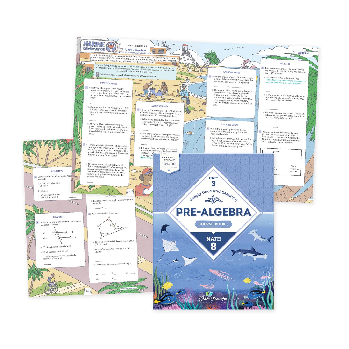 Pre-Algebra: Course Set