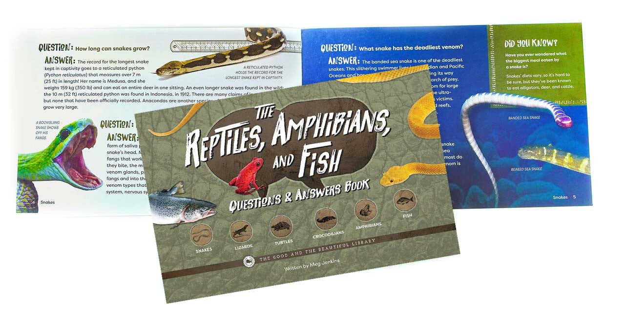 The Reptiles, Amphibians, and Fish Questions & Answers Book: Reptiles, Amphbians, and Fish Grades 7-8 Extension