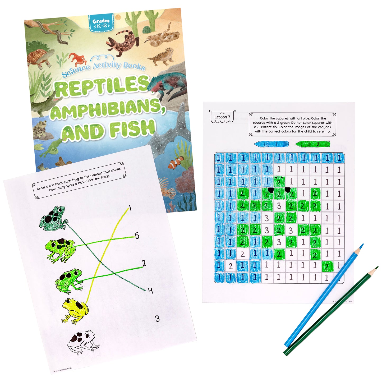 Science Activity Books