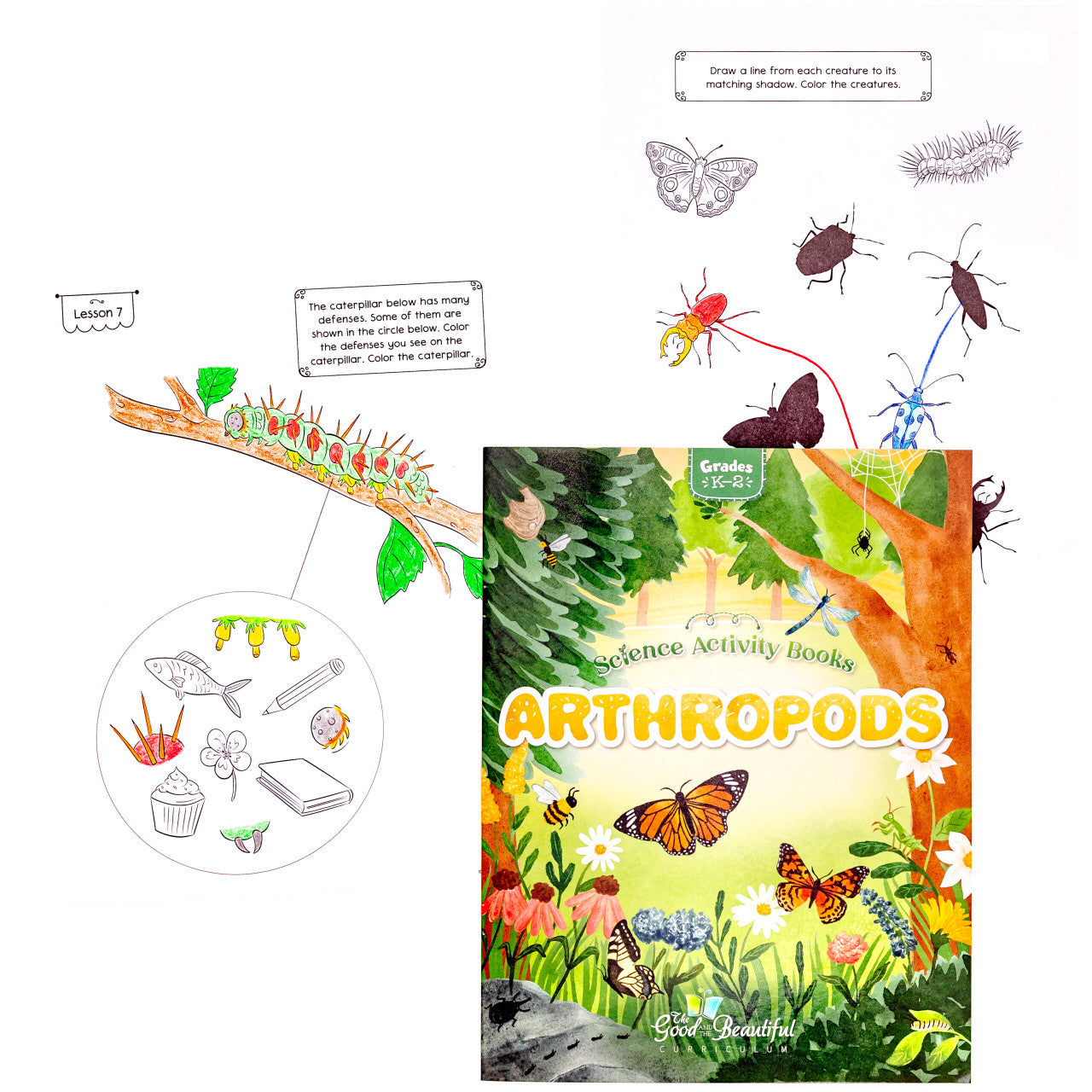 Science Activity Books