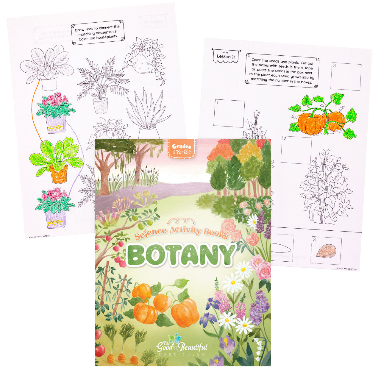 Science Activity Books